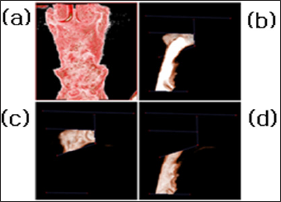 Click here to view Large Figure 7
