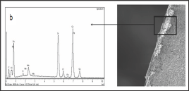 Click here to view Large Figure 5