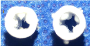 Click here to view Large Figure 6