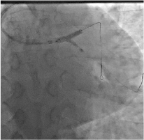 Click here to view Large Figure 3