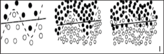 Click here to view Large Figure 1