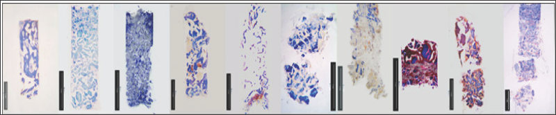 Click here to view Large Figure 3