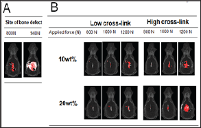 Click here to view Large Figure 4
