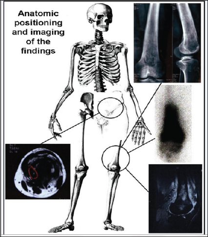 Click here to view Large Figure 1