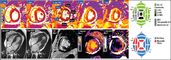Click here to view Large Figure 6