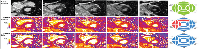 Click here to view Large Figure 8