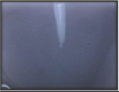 Click here to view Large Figure 14