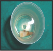 Click here to view Large Figure 7