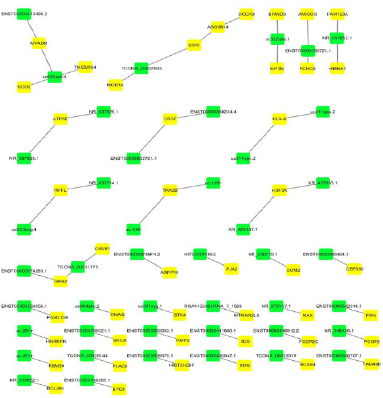 Click here to view Large Figure 5