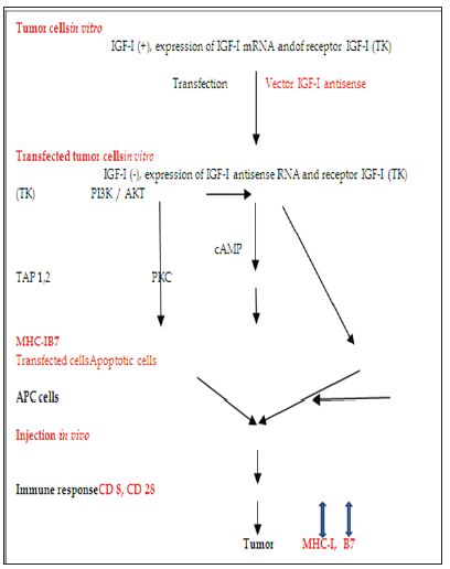 Click here to view Large Figure 1