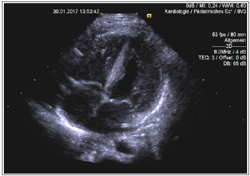 Click here to view Large Figure 1