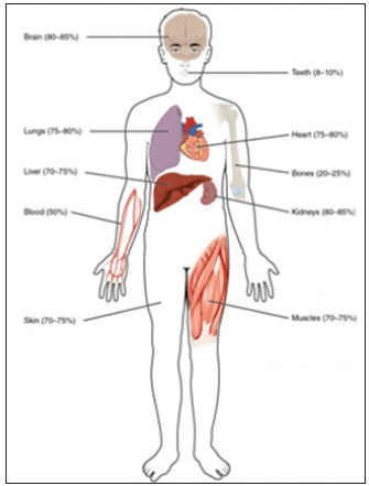 Click here to view Large Figure 1