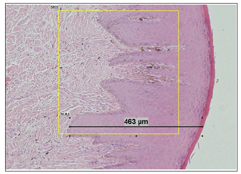 Click here to view Large Figure 1