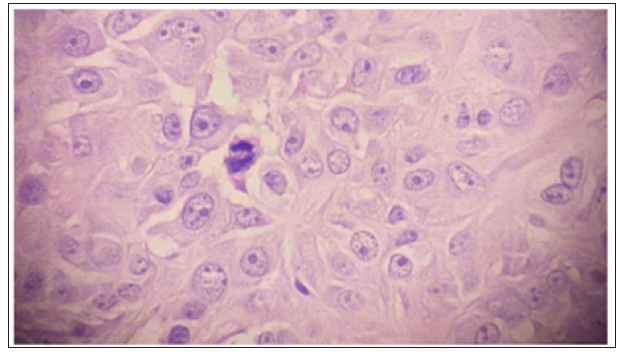 Click here to view Large Figure 3