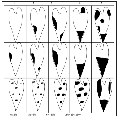 Click here to view Large Figure 1