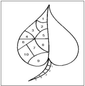 Click here to view Large Figure 2