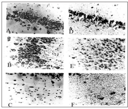 Click here to view Large Figure 3