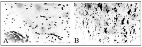 Click here to view Large Figure 5