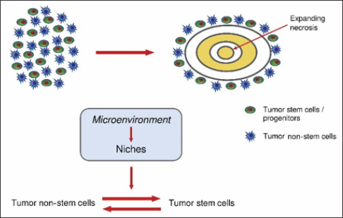 Click here to view Large Figure 2 biomedres-openaccess-journal-bjstr