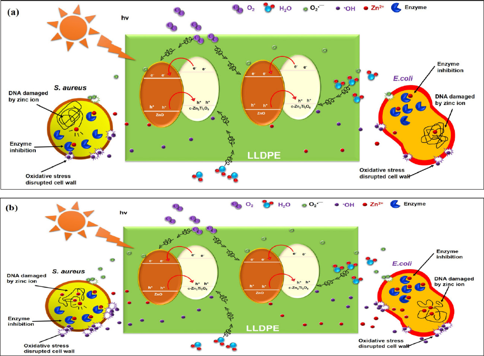 Click here to view Large Figure 7 biomedres-openaccess-journal-bjstr