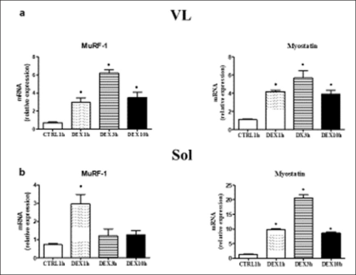 Click here to view Large Figure 1 biomedres-openaccess-journal-bjstr