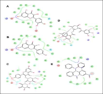 Click here to view Large Figure 3 biomedres-openaccess-journal-bjstr