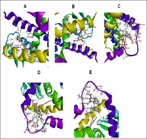 Click here to view Large Figure 3 biomedres-openaccess-journal-bjstr