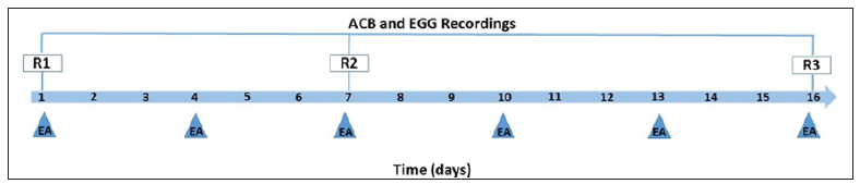 Click here to view Large Figure 1 biomedres-openaccess-journal-bjstr