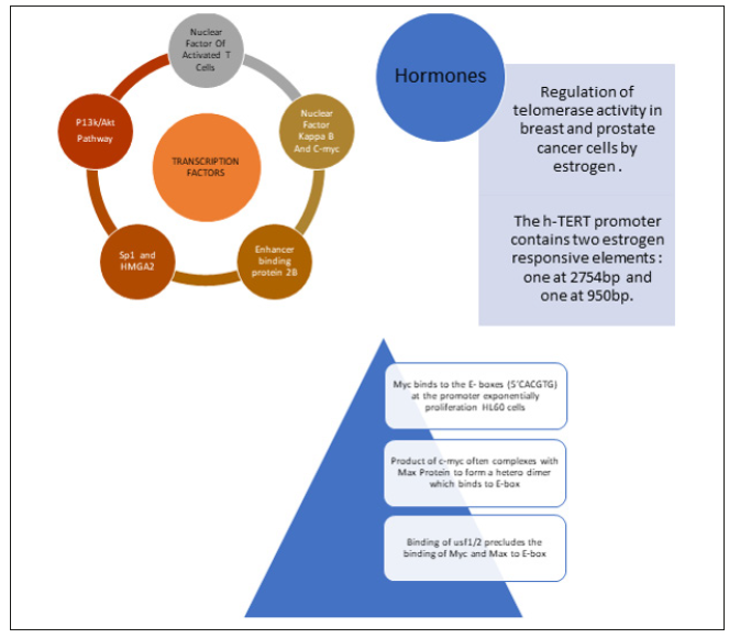 Click here to view Large Figure 3 biomedres-openaccess-journal-bjstr