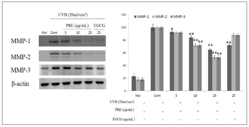 Click here to view Large Figure 3 biomedres-openaccess-journal-bjstr