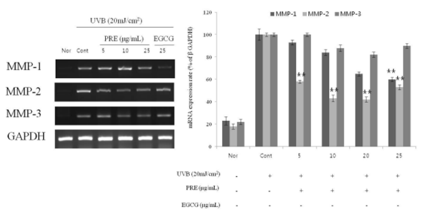Click here to view Large Figure 4 biomedres-openaccess-journal-bjstr