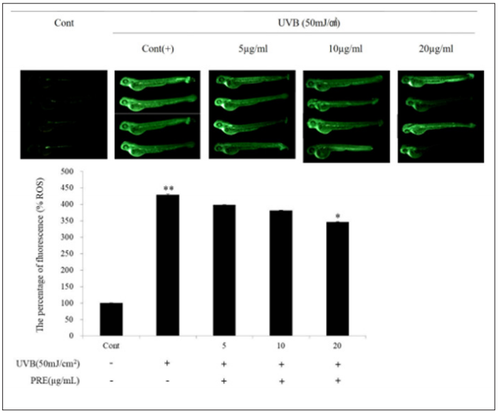 Click here to view Large Figure 5 biomedres-openaccess-journal-bjstr