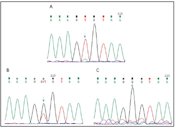 biomedres-openaccess-journal-bjstr