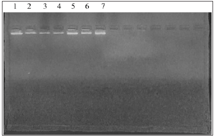 Click here to view Large Figure 1 biomedres-openaccess-journal-bjstr