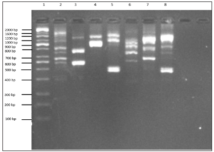 Click here to view Large Figure 2 biomedres-openaccess-journal-bjstr