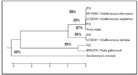 Click here to view Large Figure 4 biomedres-openaccess-journal-bjstr