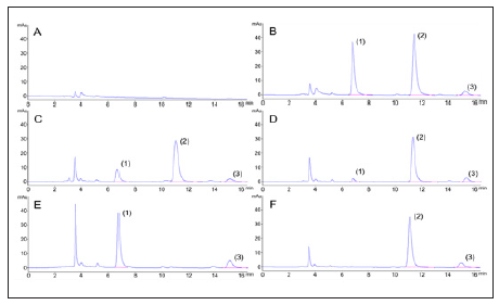 Click here to view Large Figure 2 biomedres-openaccess-journal-bjstr