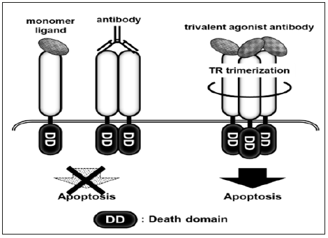 Click here to view Large Figure 4 biomedres-openaccess-journal-bjstr