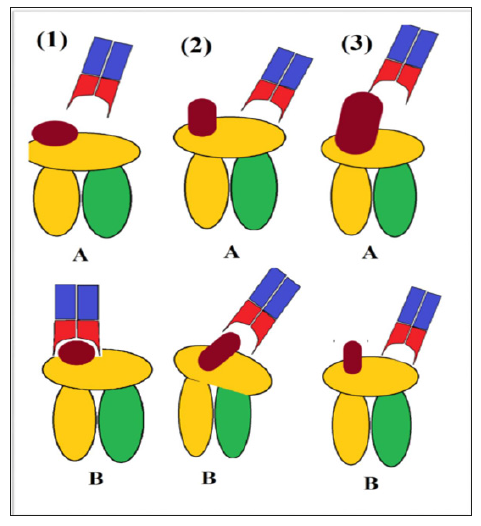 Click here to view Large Figure 2 biomedres-openaccess-journal-bjstr