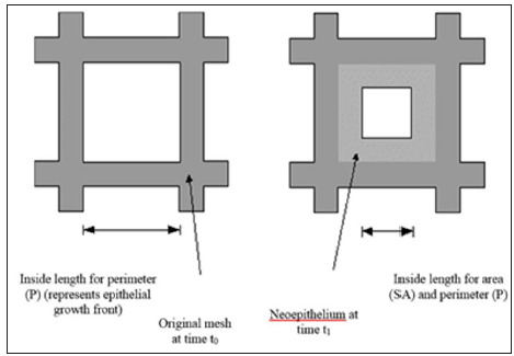 Click here to view Large Figure 4 biomedres-openaccess-journal-bjstr