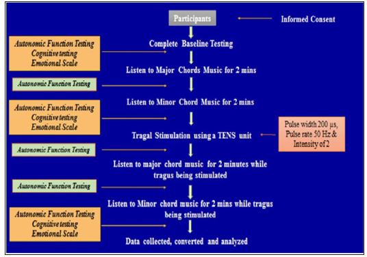 Click here to view Large Figure 2 biomedres-openaccess-journal-bjstr