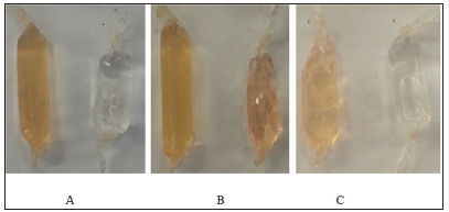 Click here to view Large Figure 2 biomedres-openaccess-journal-bjstr