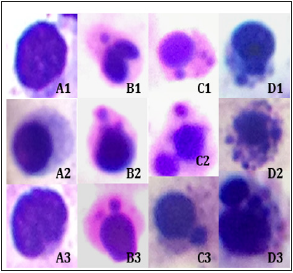 biomedres-openaccess-journal-bjstr