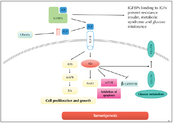 Click here to view Large Figure 1 biomedres-openaccess-journal-bjstr