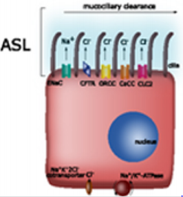 biomedres-openaccess-journal-bjstr