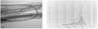 biomedres-openaccess-journal-bjstr