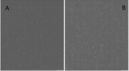 biomedres-openaccess-journal-bjstr
