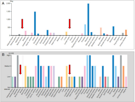 biomedres-openaccess-journal-bjstr