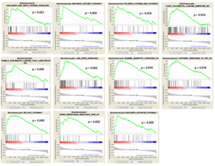 biomedres-openaccess-journal-bjstr