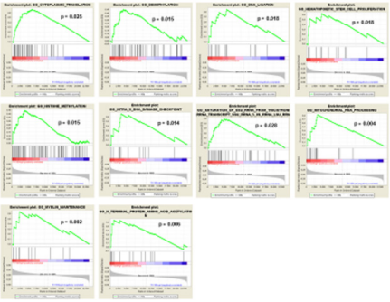 biomedres-openaccess-journal-bjstr